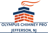 Olympus Chimney Pro